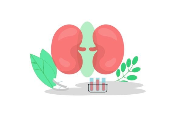 Download Corner Education Medicament Icon - Medicament Collection